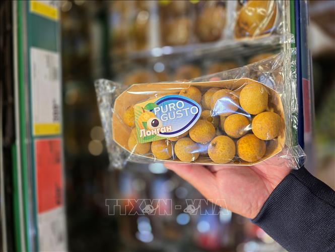 Cận cảnh mặt hàng nhãn tươi đóng gói của Việt Nam tại siêu thị METRO. Ảnh: Trần Hải  - PV TTXVN tại Nga 