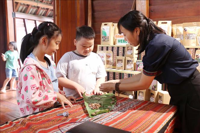 Các bạn nhỏ tìm hiểu về cây Kơ Nia và hạt Kơ Nia tại Bảo tàng Đắk Lắk trong dịp nghỉ Lễ Quốc khánh 2/9. Ảnh: Hoài Thu – TTXVN