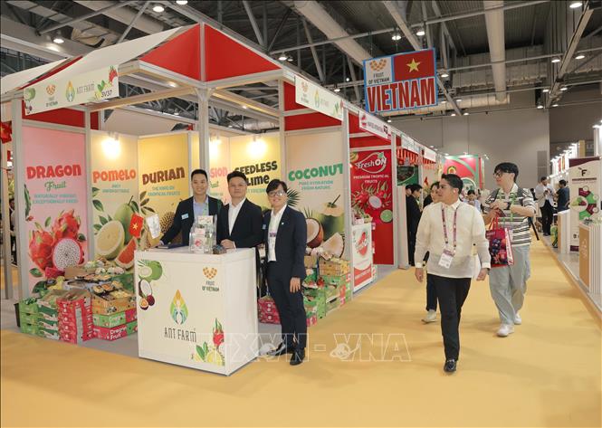 Khu trưng bày của đoàn Việt Nam tại Hội chợ. Ảnh: Xuân Vịnh-Phóng viên TTXVN tại Hong Kong (Trung Quốc)