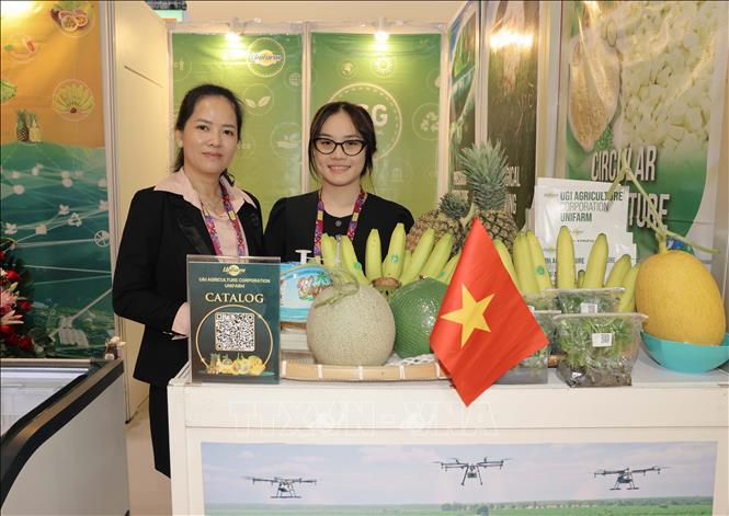 Một gian trưng bày của Việt Nam tại hội chợ. Ảnh: Xuân Vịnh-Phóng viên TTXVN tại Hong Kong (Trung Quốc)