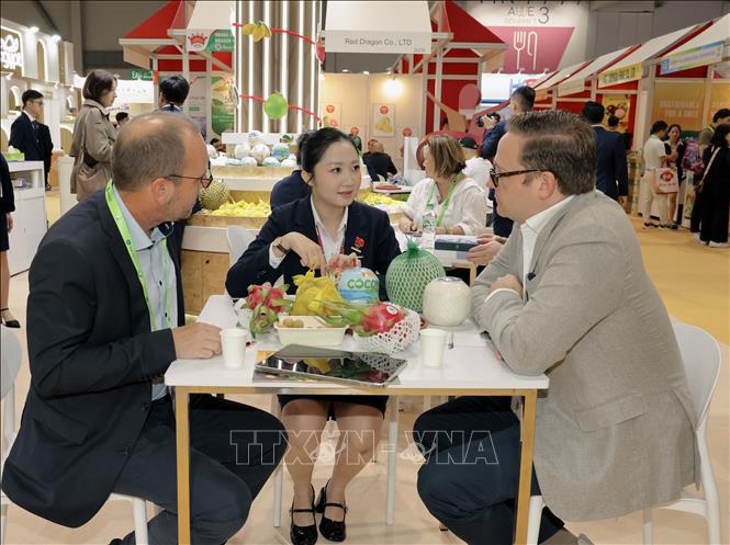 Khách hàng quốc tế nghe giới thiệu và tìm hiểu cơ hội hợp tác nhập khẩu trái cây với doanh nghiệp Việt Nam. Ảnh: Xuân Vịnh-Phóng viên TTXVN tại Hong Kong (Trung Quốc)