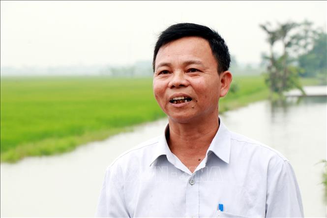 Ông Vũ Quang Việt, Bí thư Chi bộ thôn An Nông, xã Nam Minh (Ninh Bình) cho rằng các Nghị quyết, Chỉ thị của Bộ Chính trị đáp ứng yêu cầu phát triển mới của đất nước, địa phương. Ảnh: Nguyễn Lành - TTXVN 