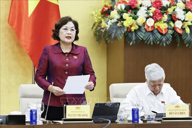 Phó Chủ tịch Quốc hội Nguyễn Thị Hồng phát biểu. Ảnh: Doãn Tấn - TTXVN