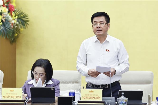 Phó Chủ tịch Quốc hội Nguyễn Hồng Diên phát biểu. Ảnh: Doãn Tấn - TTXVN