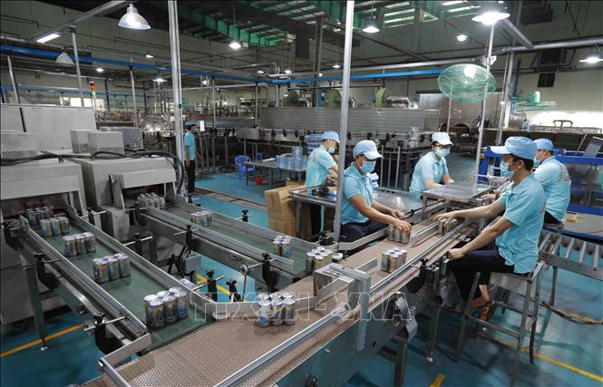 Sản phẩm yến sào Công ty Yến sào Khánh Hoà xuất khẩu sang nhiều nước trong đó có Myanmar. Ảnh: Vũ Sinh - TTXVN