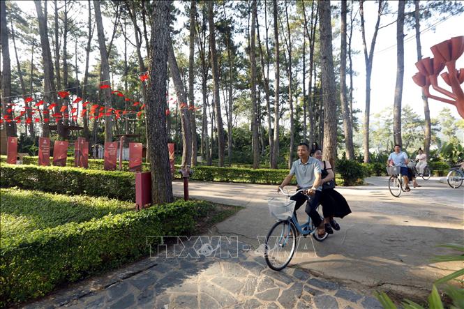 Du khách tham quan tại khu du lịch Rừng Thông Bản Áng. Ảnh: Quang Quyết - TTXVN