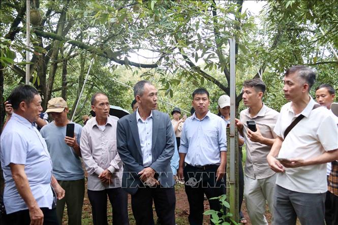 Đại diện UBND xã Ea Knuếc giới thiệu đến du khách về những tiềm năng, thế mạnh của địa phương nói chung và sầu riêng nói riêng trong khuôn khổ Lễ hội. Ảnh: Hoài Thu – TTXVN.