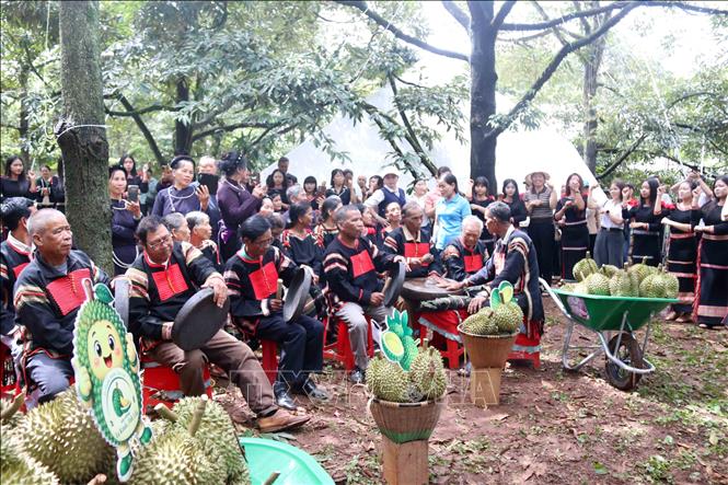 Biểu diễn, giao lưu văn hóa phục vụ du khách tại vườn sầu riêng trong khuôn khổ Lễ hội. Ảnh: Hoài Thu – TTXVN.