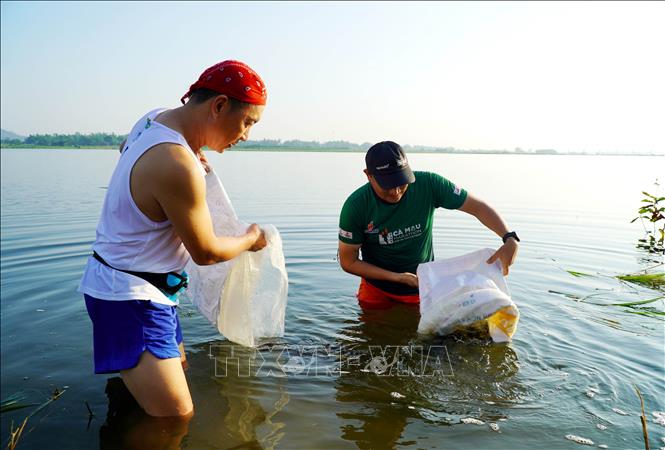 Người dân tham gia thả cá giống. Ảnh: Lê Phước Ngọc - TTXVN   