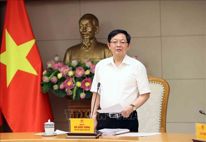 Phó Thủ tướng Hồ Quốc Dũng phát biểu tại cuộc họp. Ảnh: An Đăng - TTXVN