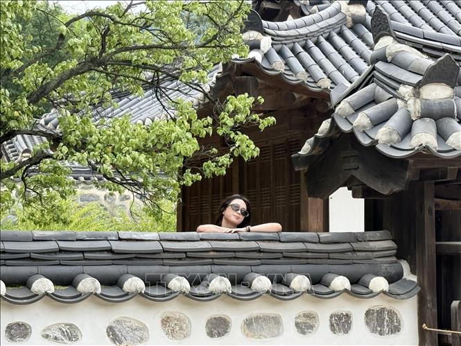 Mái ngói cong đặc trưng tại Làng Hanok Namsangol, Seoul, Hàn Quốc. Ảnh: Nhật Hưng – PV TTXVN tại Hàn Quốc
