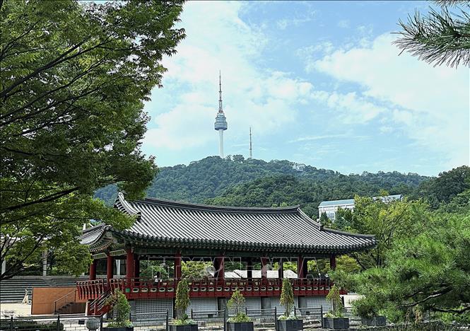 Kiến trúc Hanok truyền thống nổi bật tại Làng Hanok Namsangol giữa không gian xanh của Seoul, phía xa là tháp Namsan. Ảnh: Nhật Hưng – PV TTXVN tại Hàn Quốc