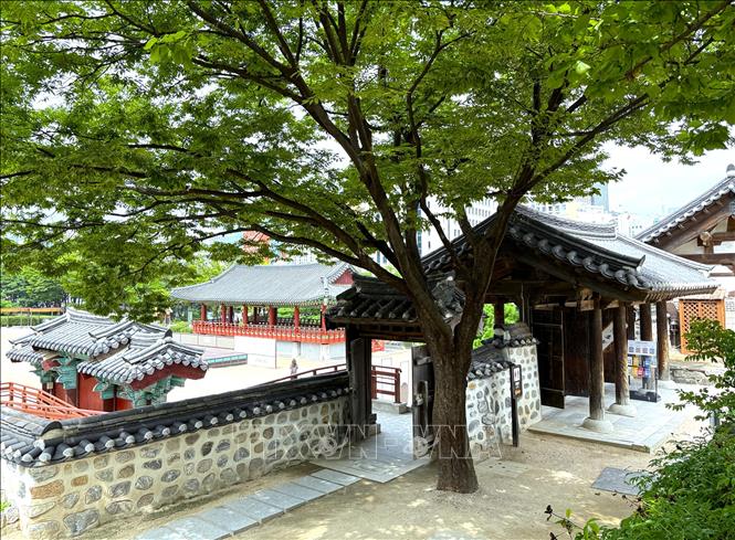 Một góc Làng Hanok Namsangol với những mái ngói, tường đá và cổng gỗ mang đậm nét kiến trúc truyền thống Hàn Quốc, giữa không gian xanh của thủ đô Seoul. Ảnh: Nhật Hưng – PV TTXVN tại Hàn Quốc