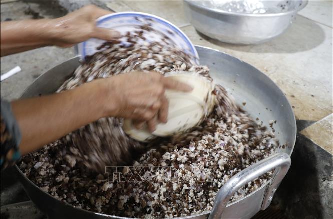 Nhân bánh tẻ được làm từ thịt, mọc nhĩ, hành phi thơm tạo nên vị đậm đà, béo ngậy, giòn, bùi. Ảnh: Thanh Thương - TTXVN