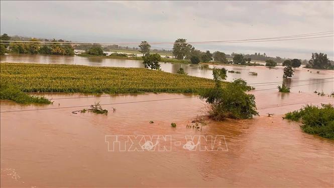 Hoa màu của người dân trên địa bàn xã Ia Pa, tỉnh Gia Lai ngập sâu trong nước. Ảnh: Hoài Nam - TTXVN