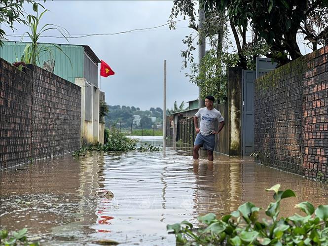 Nhiều nhà cửa của người dân trên địa bàn phường Pleiku, tỉnh Gia Lai ngập sâu trong nước. Ảnh: Hoài Nam - TTXVN