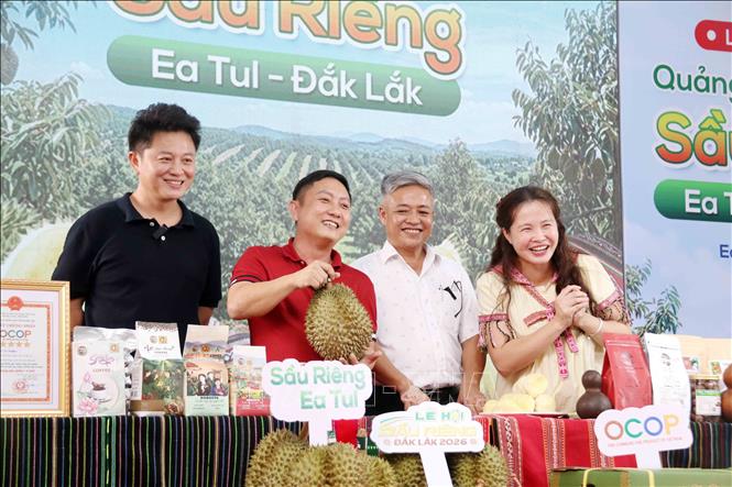 Một phiên livestream ở xã Ea Tul, tỉnh Đắk Lắk có sự tham gia của chính quyền địa phương, KOL Việt Nam, KOL Trung Quốc, doanh nghiệp. Ảnh: Hoài Thu – TTXVN