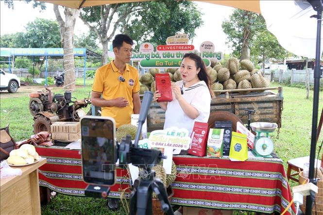 Bên cạnh sản phẩm sầu riêng, các phiên livestream ở Đắk Lắk còn quảng bá và bán sản phẩm OCCOP, các nông sản chủ lực khác. Ảnh: Hoài Thu – TTXVN.