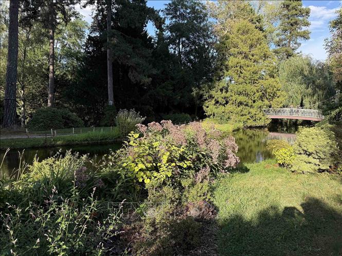 Cảnh quan hồ nước và cây xanh tại vườn thực vật chuyên về các loài cây thân gỗ Arboretum de la Vallée-aux-Loups, tỉnh Hauts-de-Seine. Việc bảo vệ nguồn nước và lựa chọn các loài cây có khả năng chịu nóng, chịu hạn đang trở thành vấn đề ngày càng quan trọng đối với các khu vườn ở Pháp. Ảnh: Hữu Chiến - PV TTXVN tại Pháp