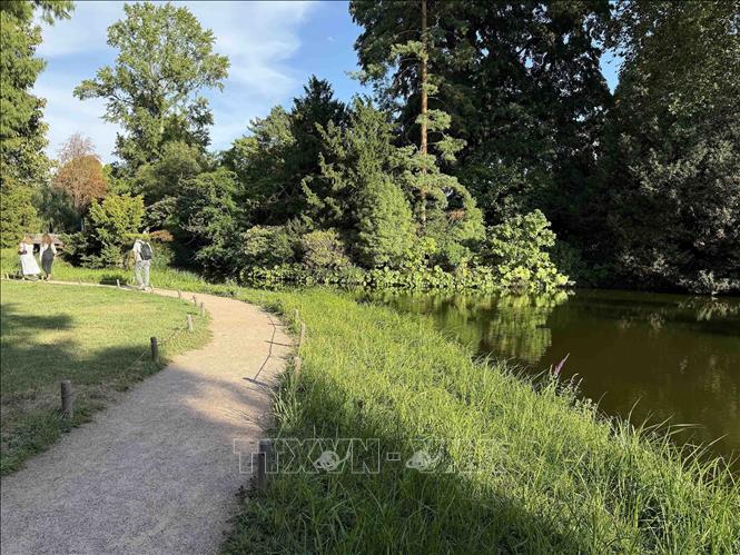 Quang cảnh vườn thực vật chuyên về các loài cây thân gỗ Arboretum de la Vallée-aux-Loups, tỉnh Hauts-de-Seine, sau một mùa Hè nắng nóng và thiếu mưa nghiêm trọng. Ảnh: Hữu Chiến - PV TTXVN tại Pháp
