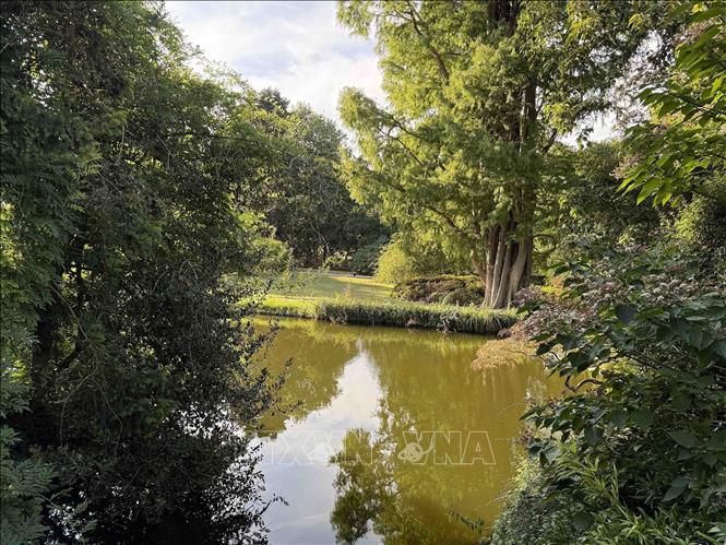 Một góc vườn thực vật chuyên về các loài cây thân gỗ Arboretum de la Vallée-aux-Loups, tỉnh Hauts-de-Seine. Trong bối cảnh khí hậu ngày càng nóng lên, việc duy trì cây xanh và các hồ nước góp phần bảo vệ cảnh quan và tạo không gian mát cho đô thị. Ảnh: Hữu Chiến - PV TTXVN tại Pháp