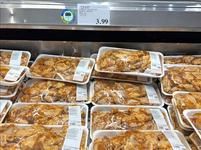 Các khay cánh gà tẩm gia vị được bày bán tại siêu thị Costco ở bang Maryland, với giá niêm yết 3,99 USD/pound. Ảnh: Đoàn Hùng - PV TTXVN tại Mỹ