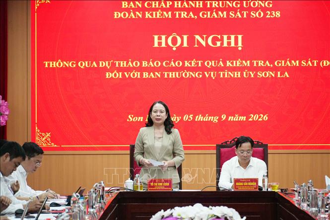 Đồng chí Võ Thị Ánh Xuân, Bí thư Trung ương Đảng, Phó Chủ tịch nước, Trưởng Đoàn kiểm tra, giám sát số 238, phát biểu chỉ đạo tại buổi làm việc. Ảnh: Nguyễn Cường - TTXVN
