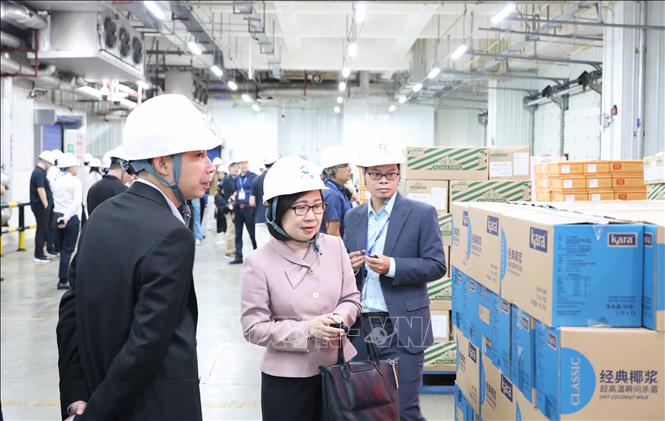 Phó Tổng Giám đốc TTXVN Đoàn Thị Tuyết Nhung cùng đại biểu các hãng thông tấn, truyền thông khu vực châu Á - Thái Bình Dương tham quan, khảo sát một số cơ sở kinh tế, văn hóa tại Quảng Châu, Phật Sơn và Thâm Quyến… Ảnh: Công Tuyên - PV TTXVN tại Trung Quốc