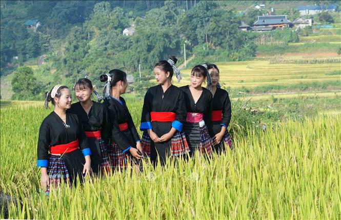 vè đẹp của thiếu nữ Mông tại Ngày hội “Mùa vàng Tả Lèng - Hương lúa giữa non cao”. Ảnh: Nguyễn Oanh - TTXVN