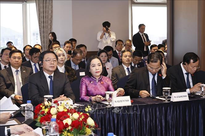 Phó Thủ tướng Hồ Quốc Dũng, Phó Chủ tịch Quốc hội Nguyễn Thị Thanh và thành viên đoàn Việt Nam tham dự cuộc gặp gỡ những người bạn Hàn Quốc. Ảnh: Doãn Tấn - TTXVN 