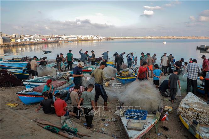 Người dân Palestine tại Gaza ngày 3/9/2026. Ảnh: THX/TTXVN phát