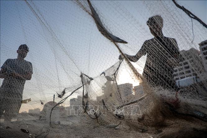 Người dân Palestine tại Gaza. Ảnh: THX/TTXVN phát