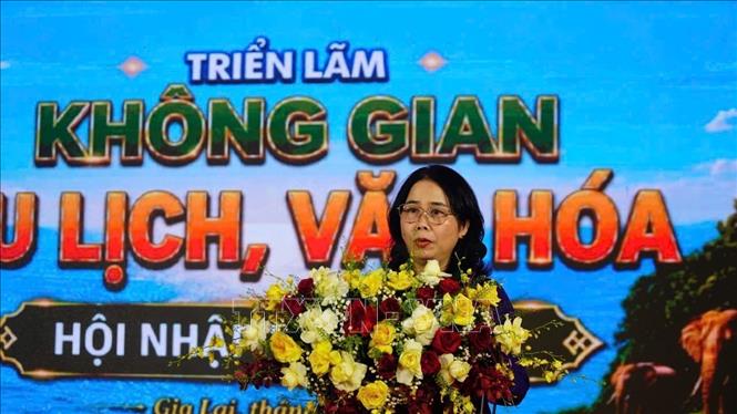 Giám đốc Sở Văn hóa, Thể thao và Du lịch tỉnh Gia Lai Đỗ Thị Diệu Hạnh phát biểu. Ảnh: Sỹ Thắng - TTXVN