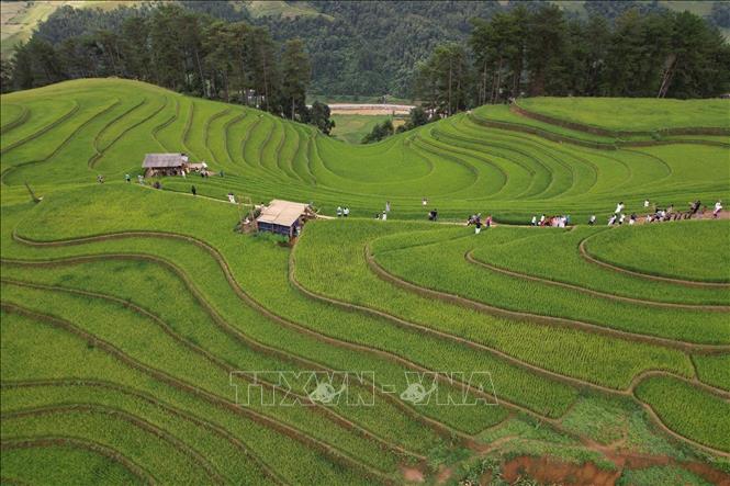 Ruộng bậc thang Mù Cang Chải từ lâu đã nổi tiếng bởi cảnh sắc thiên nhiên hùng vĩ với những thửa ruộng bậc thang đẹp như tranh vẽ. Ảnh: Tuấn Anh - TTXVN
