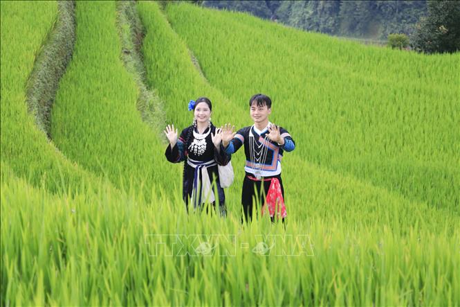 Các cặp đôi chụp hình trên những thửa ruộng bậc thang uốn lượn. Ảnh: Tuấn Anh - TTXVN