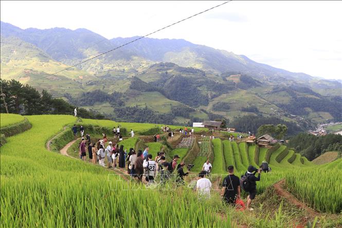 Đây là thời điểm đẹp nhất trong năm khi những thửa ruộng bậc thang ngả vàng, thu hút đông đảo du khách trong và ngoài nước đến chiêm ngưỡng và chụp ảnh. Ảnh: Tuấn Anh - TTXVN