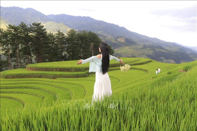 Nhiều bạn trẻ ở khắp nơi tìm về ruộng bậc thang Mù Cang Chải để lưu lại những khoảnh khắc lúa chuyển sang màu vàng. Ảnh: Tuấn Anh - TTXVN