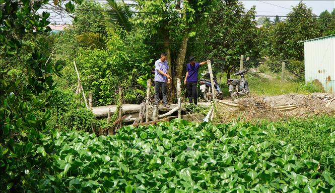 Lãnh đạo ấp Mỹ Thị A, xã Mỹ Thiện (tỉnh Đồng Tháp) kiểm tra đoạn đê bao xung yếu để gia cố, đảm bảo an toàn trong mùa mưa lũ. Ảnh: Nhựt An - TTXVN