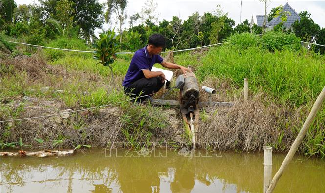 Nhà vườn ở Đồng Tháp chuẩn bị sẵn máy bơm điện để kịp thời bơm rút nước khi mưa lũ. Ảnh: Nhựt An - TTXVN