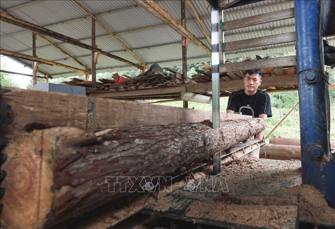 Gia đình anh Sần Seo Lềnh, dân tộc Mong ở thôn Pả Chư Tỷ, xã Lủng Thần, Lào Cai vay vốn giải quyết việc làm đầu tư mua máy móc, làm nhà xưởng chế biến gỗ, thu hút 4 lao động. Ảnh: Trần Việt - TTXVN