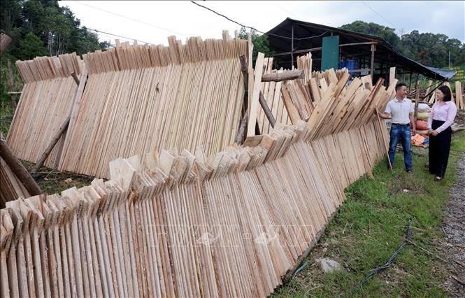 Gia đình anh Sần Seo Lềnh, dân tộc Mong ở thôn Pả Chư Tỷ, xã Lủng Thần, Lào Cai vay vốn giải quyết việc làm đầu tư mua máy móc, làm nhà xưởng chế biến gỗ, thu hút 4 lao động. Ảnh: Trần Việt - TTXVN