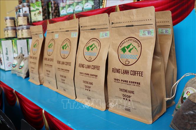 Từ vùng nguyên liệu cà phê, các cơ sở sản xuất tại phía Tây tỉnh Lâm Đồng đa dạng hóa sản phẩm chế biến, góp phần nâng cao giá trị hạt cà phê. Ảnh: Nguyễn Huy Thành – TTXVN