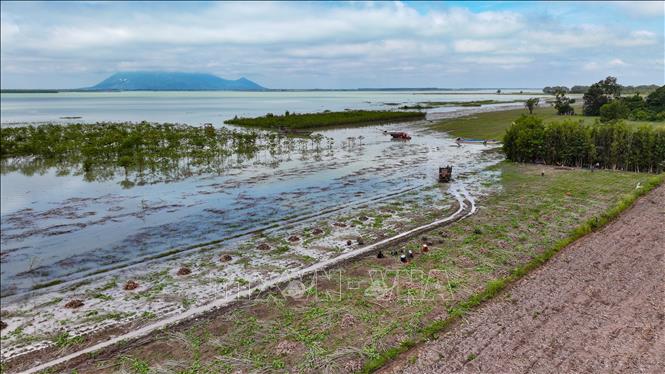 Không gian du lịch sinh thái được tỉnh Tây Ninh định hướng mở rộng về Đảo Nhím - hồ Dầu Tiếng. Ảnh: Minh Phú – TTXVN