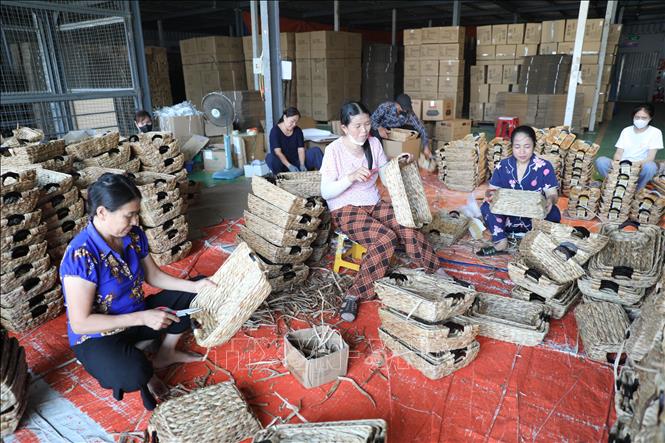 Xã Nga An xác định phát triển sản phẩm OCOP, sản phẩm đặc trưng là một trong những khâu quan trọng để tạo động lực phát triển kinh tế. Ảnh: Khiếu Tư - TTXVN