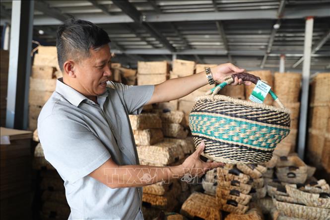 Sản phẩm của Công ty Cổ phần Sản xuất, chế biến cói xuất khẩu Việt Anh hiện đã có mặt tại hơn 50 quốc gia và vùng lãnh thổ, trong đó có các thị trường như Mỹ, EU, Nhật Bản, Australia; đồng thời được đưa lên các nền tảng thương mại điện tử quốc tế như Alibaba và Amazon. Ảnh: Khiếu Tư - TTXVN