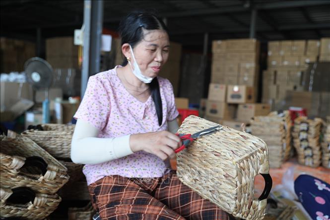 Công ty Cổ phần Sản xuất, chế biến cói xuất khẩu Việt Anh hiện tạo công ăn việc làm cho hàng nghìn lao động tại địa phương. Ảnh: Khiếu Tư - TTXVN