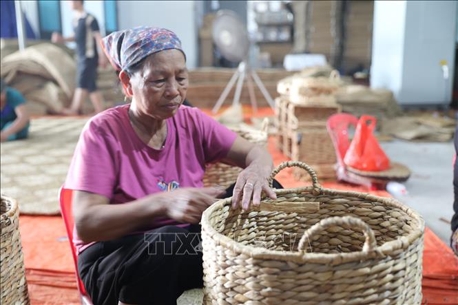Nhiều lao động có tuổi nhưng với tay nghề và kinh nghiệm vẫn có thể tham gia lao động với mức thu nhập ổn định từ nghề truyền thống. Ảnh: Khiếu Tư - TTXVN