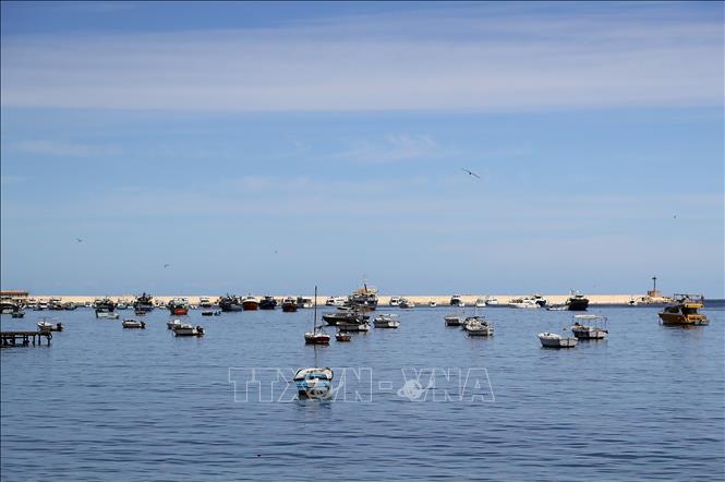 Tàu thuyền neo đậu trên vùng biển Địa Trung Hải ngoài khơi thành phố Alexandria, Ai Cập. Ảnh: THX/TTXVN phát