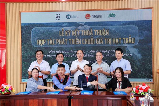 Lễ ký kết thỏa thuận hợp tác phát triển chuỗi giá trị hạt trẩu giữa Công ty Sepon Group với đại diện bốn thôn của xã Hướng Phùng và Hướng Lập, tỉnh Quảng Trị. Ảnh: TTXVN phát 