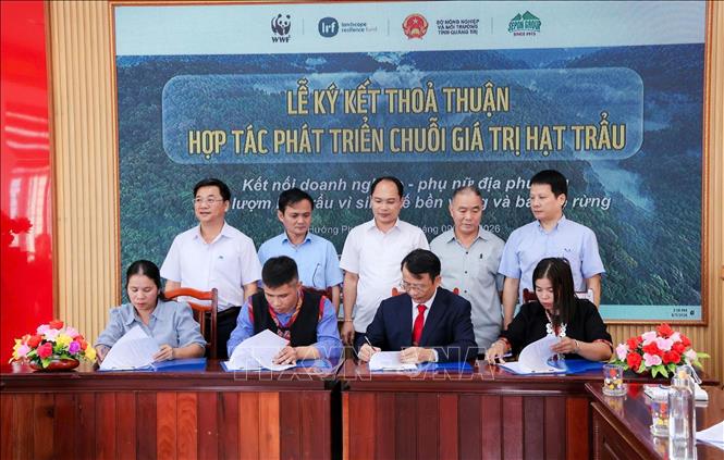 Ký kết thỏa thuận hợp tác phát triển chuỗi giá trị hạt trẩu giữa Công ty Sepon Group với đại diện bốn thôn của xã Hướng Phùng và Hướng Lập, tỉnh Quảng Trị. Ảnh: TTXVN phát  